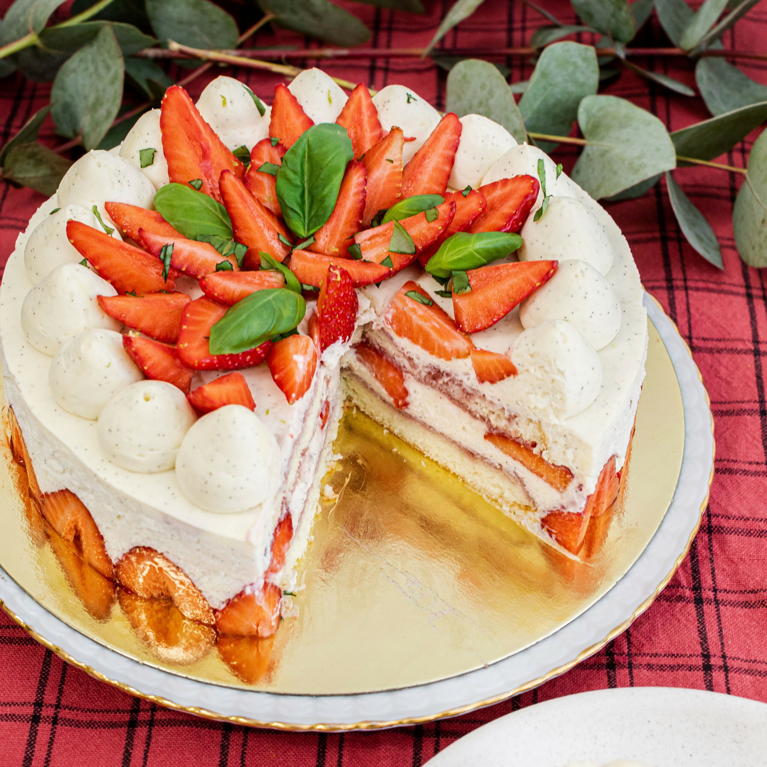 fraisier
